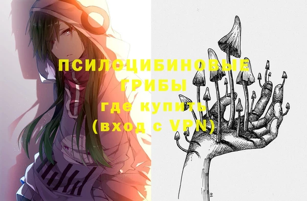 ГАЛЛЮЦИНОГЕННЫЕ ГРИБЫ Балахна