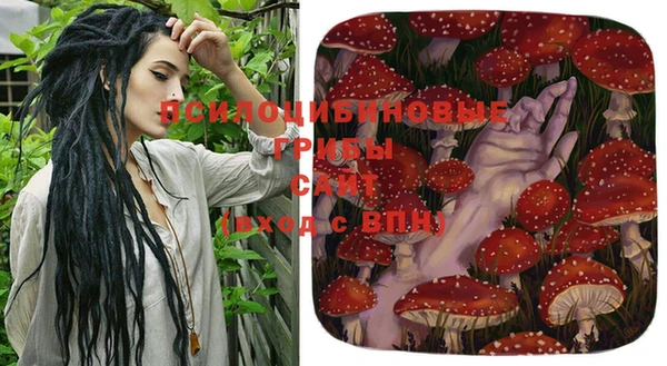 ГАЛЛЮЦИНОГЕННЫЕ ГРИБЫ Балахна