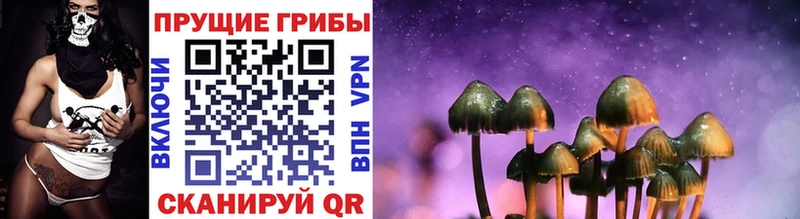 сколько стоит  omg вход  Галлюциногенные грибы прущие грибы  Тырныауз 