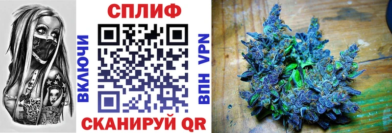 Канабис OG Kush Тырныауз